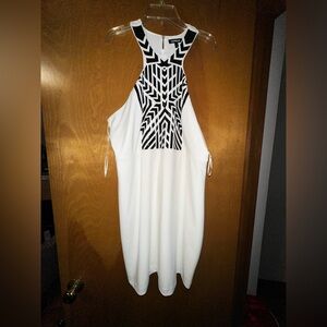 Express Bodycon Halter Dress